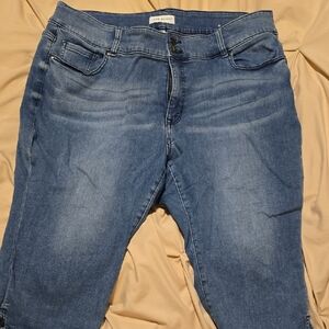 Lane Bryant Women's PETITE Capri Blue Skinny Jeans